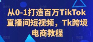 从0-1打造百万TikTok直播间短视频，Tk跨境电商教程-一米创业记
