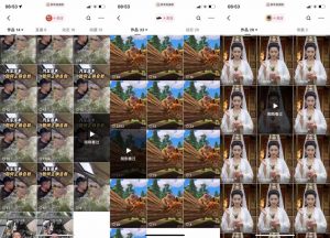 狗熊岭快手连怼技术，好物，涨粉都可以连怼-一米创业记