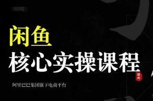 2024闲鱼核心实操课程，从养号、选品、发布、销售，教你做一个出单的闲鱼号-一米创业记
