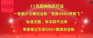 小红书11月最新图片打粉，一张图片引爆创业粉，“预算4980带我飞”，单条引流500+精准创业粉-一米创业记