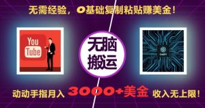 无需经验，0基础复制粘贴赚美刀，动动手指，月入3000+刀，无上限【揭秘】-一米创业记