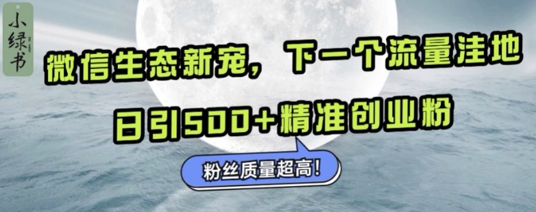 微信生态新宠小绿书：下一个流量洼地，日引500+精准创业粉，粉丝质量超高-一米创业记