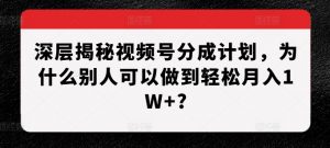 深层揭秘视频号分成计划，为什么别人可以做到轻松月入1W+?-一米创业记