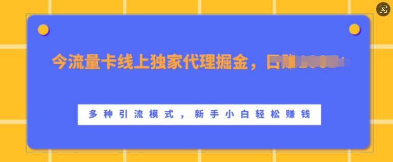 流量卡线上独家代理掘金,日入1k+ ,多种引流模式,新手小白轻松上手【揭秘】-一米创业记