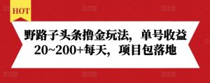 野路子头条撸金玩法，单号收益20~200+每天，项目包落地-一米创业记