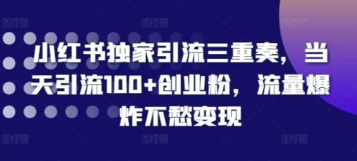 小红书独家引流三重奏，当天引流100+创业粉，流量爆炸不愁变现【揭秘】-一米创业记