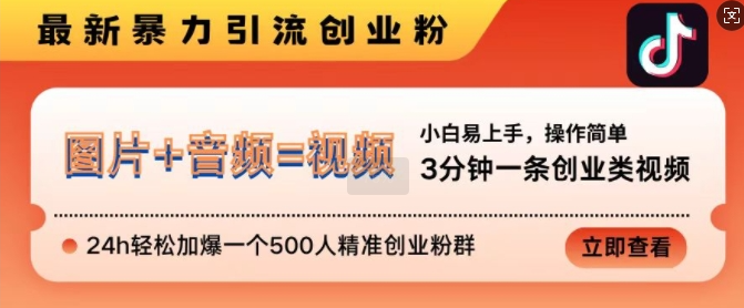 抖音最新暴力引流创业粉，3分钟一条创业类视频，24h轻松加爆一个500人精准创业粉群【揭秘】-一米创业记