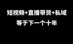 短视频+直播带货+私域等于下一个十年，大佬7年实战经验总结-一米创业记