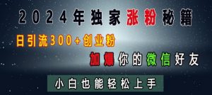 2024年独家涨粉秘籍，日引流300+创业粉，加爆你的微信好友，小白也能轻松上手-一米创业记