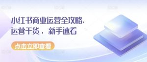 小红书商业运营全攻略，运营干货 ，新手速看-一米创业记