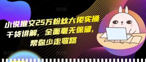 小说推文25万粉丝大佬实操干货讲解，全面毫无保留，帮你少走弯路-一米创业记