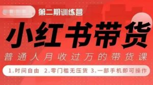 小Red书带货42天训练营 2.0版，宝妈+自由职+上班族+大学生，提高副业收入的大红利项目-一米创业记