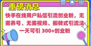 快手最新引流创业粉方法，无需养号、无需视频、搬砖式引流法【揭秘】-一米创业记