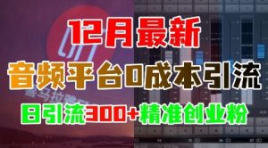 12月最新：音频平台0成本引流，日引流300+精准创业粉-一米创业记