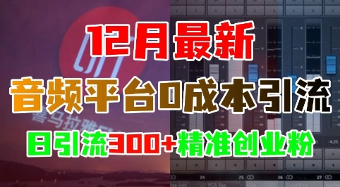12月最新：音频平台0成本引流，日引流300+精准创业粉-一米创业记