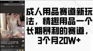 成人用品赛道新玩法，情趣用品一个长期暴利的赛道，3个月收益20个【揭秘】-一米创业记