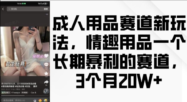 成人用品赛道新玩法，情趣用品一个长期暴利的赛道，3个月收益20个【揭秘】-一米创业记