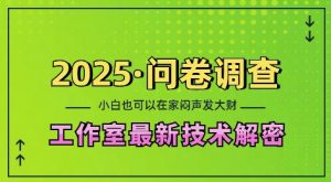 2025问卷调查最新工作室技术解密：一个人在家也可以闷声发大财，小白一天2张，可矩阵放大【揭秘】-一米创业记