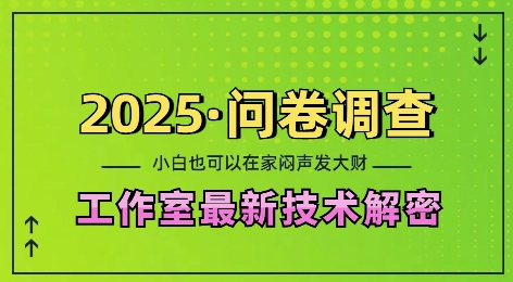 2025问卷调查最新工作室技术解密：一个人在家也可以闷声发大财，小白一天2张，可矩阵放大【揭秘】-一米创业记