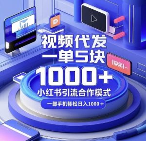 视频代发，一单5块，小红书引流合作模式，一部手机轻松日入多张【揭秘】-一米创业记