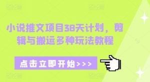 小说推文项目38天计划，剪辑与搬运多种玩法教程-一米创业记