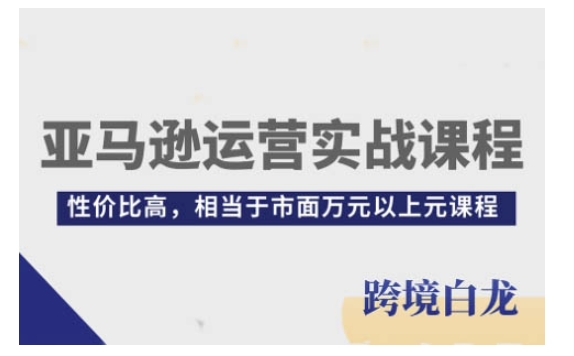 亚马逊运营实战课程,亚马逊从入门到精通,性价比高,相当于市面万元以上元课程-一米创业记