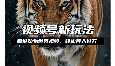 利用动物世界解说视频，赚分成计划收益，轻松月入过W，操作简单【揭秘】-一米创业记