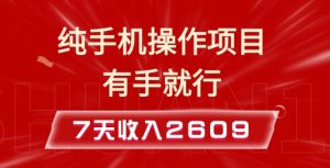 纯手机操作的小项目，有手就能做，7天收入2609+实操教程【揭秘】-一米创业记