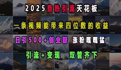 2025自热引流天花板，一条视频能带来四位数的收益，引流+变现双管齐下，日引500+创业粉，涨粉嘎嘎猛-一米创业记