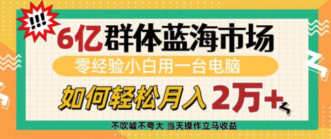 6亿群体蓝海市场，零经验小白用一台电脑，如何轻松月入过w【揭秘】-一米创业记