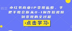 小红书商业IP变现私教，手把手教会你从0-1制作短视频到变现的全过程-一米创业记