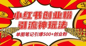 小红书创业粉引流神玩法，单图笔记引爆500+精准创业粉丝，私信狂潮接连不断-一米创业记