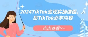 2024TikTok变现实操课程，入局TikTok必学内容-一米创业记