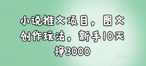 小说推文项目，图文创作玩法，新手10天挣3000-一米创业记