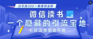 微信读书，一个隐藏的引流宝地，不为人知的小众打法，日引流300+精准创业粉，长尾流量源源不断-一米创业记
