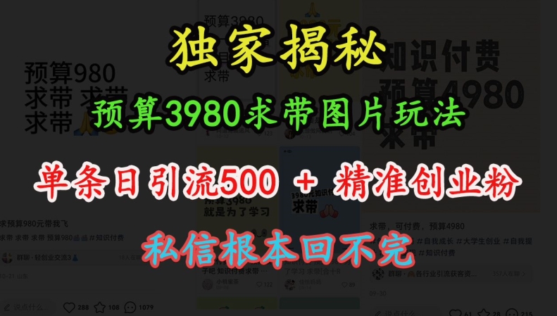 预算3980求带 图片玩法，单条日引流500+精准创业粉，私信根本回不完-一米创业记