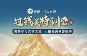 剽悍一只猫-过钱关特训营，学习营销真经 大幅度提高创富效率-一米创业记