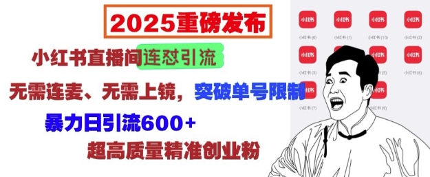 2025重磅发布：小红书直播间连怼引流，无需连麦、无需上镜，突破单号限制，暴力日引流600+-一米创业记