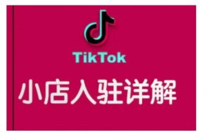 TikTok跨境小店运营全攻略，帮助你独立运营TK跨境小店的能力，实现销量增长-一米创业记