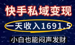 一天收入1691.5，快手私域变现，小白也能闷声发财-一米创业记