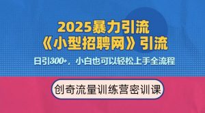 2025最新暴力引流方法，招聘平台一天引流300+，日变现多张，专业人士力荐-一米创业记