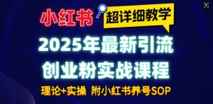 2025年最新小红书引流创业粉实战课程【超详细教学】小白轻松上手,月入1W+,附小红书养号SOP-一米创业记