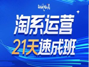 淘系运营21天速成班35期，年前最后一波和2025方向-一米创业记