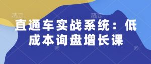 直通车实战系统：低成本询盘增长课，让个人通过技能实现升职加薪，让企业低成本获客，订单源源不断-一米创业记