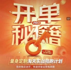 淘宝开单秘籍PRO，量身定制淘天实战陪跑计划，告别做店迷茫、快速突破运营瓶颈期-一米创业记