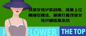 顶流女性IP实战班,流量上亿情绪引爆法,深度打磨顶流女性IP硬核基本功-一米创业记