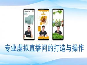 个人虚拟直播间的搭建与操作，专业虚拟直播间的打造与操作-一米创业记