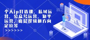 个人ip打造课，私域运营，公众号运营，知乎运营，底层逻辑和方向定位等-一米创业记