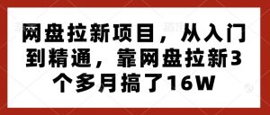 网盘拉新项目，从入门到精通，靠网盘拉新3个多月搞了16W-一米创业记