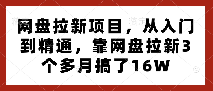 网盘拉新项目，从入门到精通，靠网盘拉新3个多月搞了16W-一米创业记
